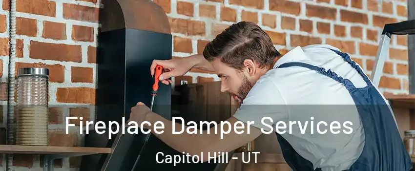 Fireplace Damper Services Capitol Hill - UT