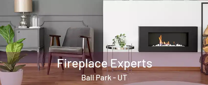 Fireplace Experts Ball Park - UT