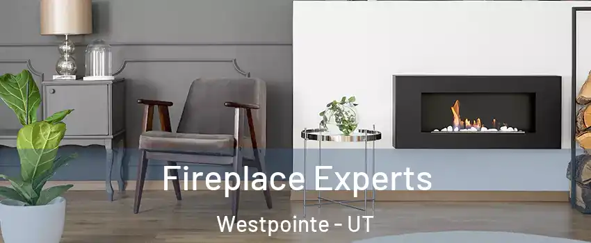 Fireplace Experts Westpointe - UT