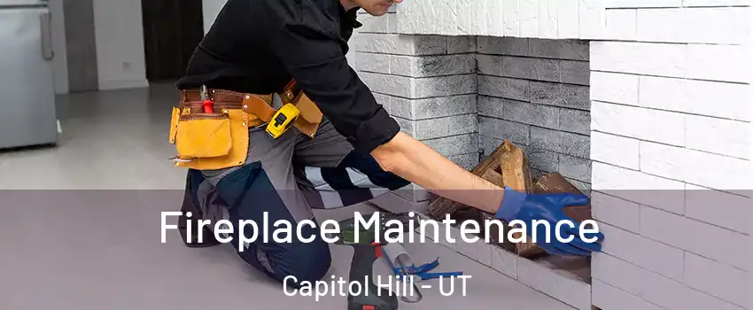 Fireplace Maintenance Capitol Hill - UT