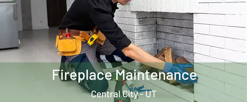 Fireplace Maintenance Central City - UT