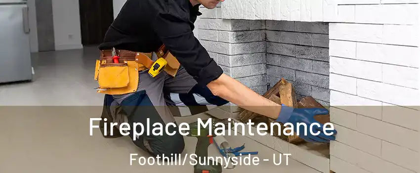 Fireplace Maintenance Foothill/Sunnyside - UT