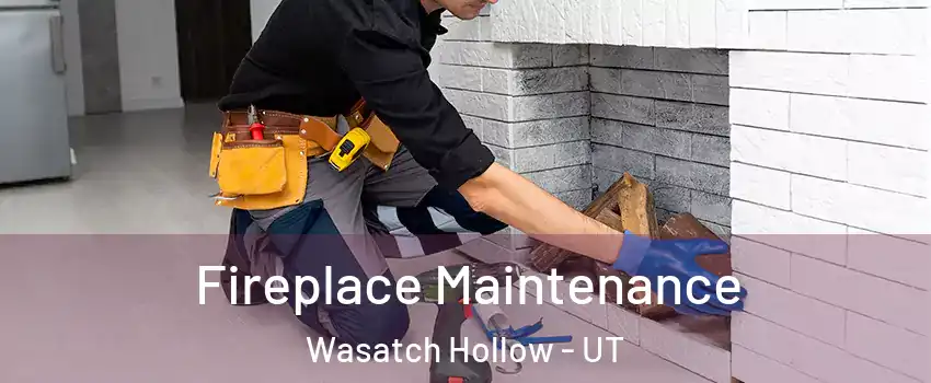 Fireplace Maintenance Wasatch Hollow - UT