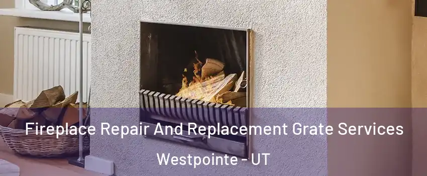 Fireplace Repair And Replacement Grate Services Westpointe - UT