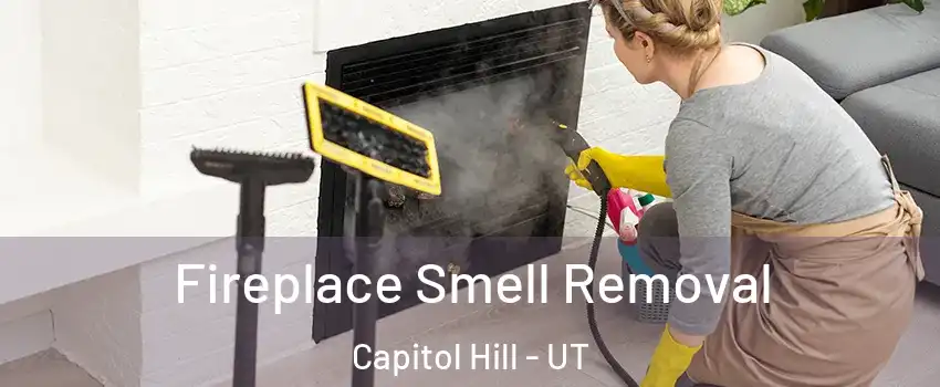 Fireplace Smell Removal Capitol Hill - UT