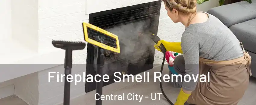 Fireplace Smell Removal Central City - UT