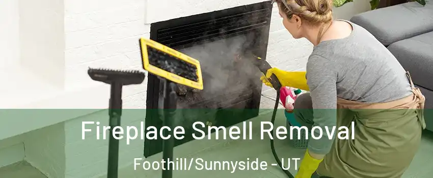 Fireplace Smell Removal Foothill/Sunnyside - UT