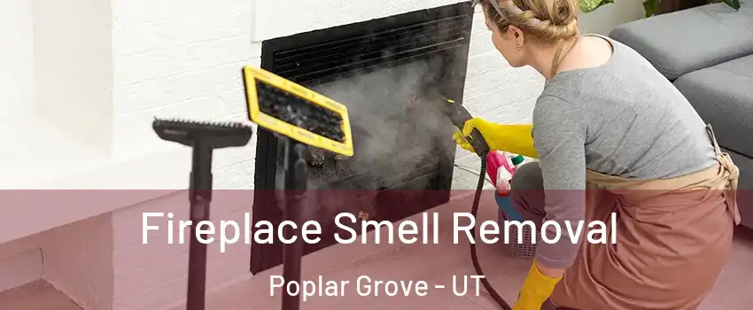Fireplace Smell Removal Poplar Grove - UT