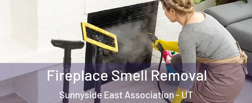 Fireplace Smell Removal Sunnyside East Association - UT