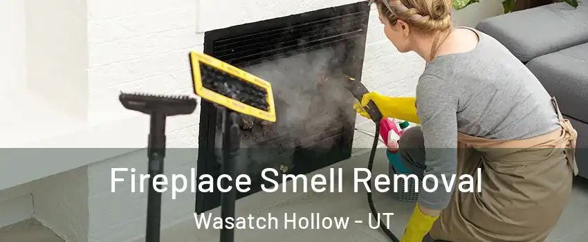 Fireplace Smell Removal Wasatch Hollow - UT