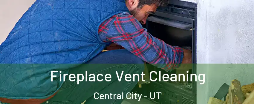 Fireplace Vent Cleaning Central City - UT