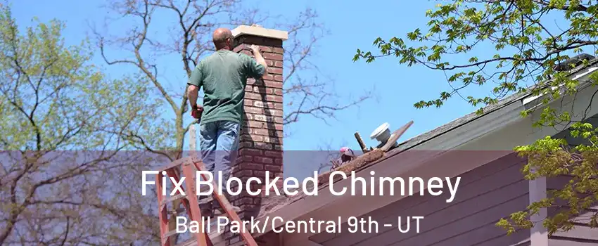 Fix Blocked Chimney Ball Park/Central 9th - UT