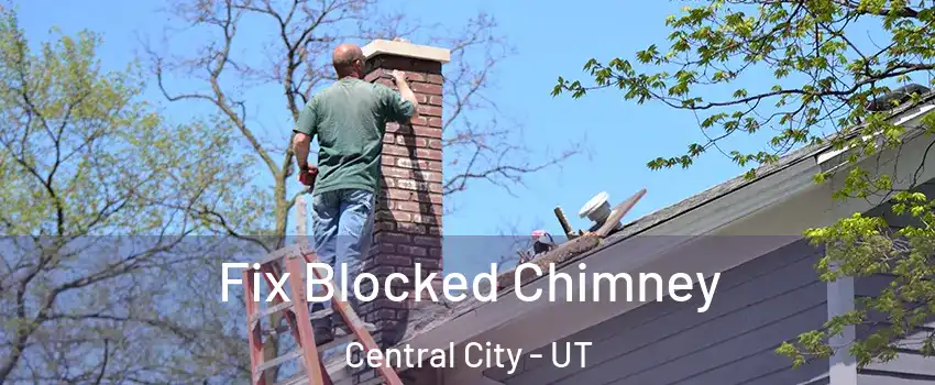 Fix Blocked Chimney Central City - UT