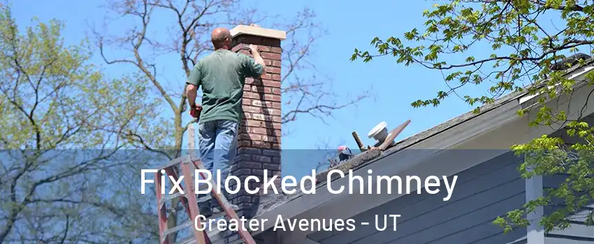Fix Blocked Chimney Greater Avenues - UT