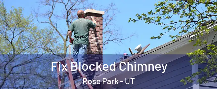 Fix Blocked Chimney Rose Park - UT