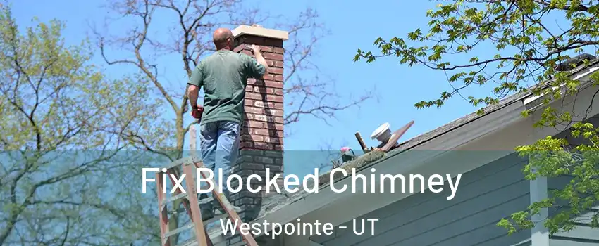 Fix Blocked Chimney Westpointe - UT