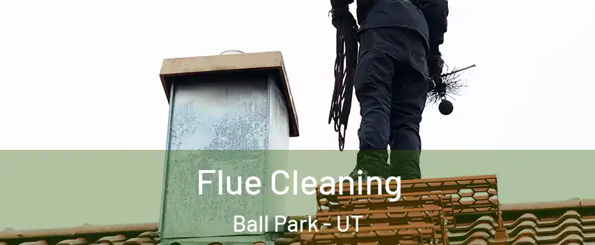 Flue Cleaning Ball Park - UT