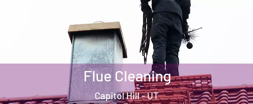 Flue Cleaning Capitol Hill - UT