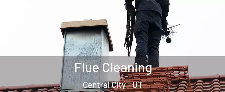 Flue Cleaning Central City - UT