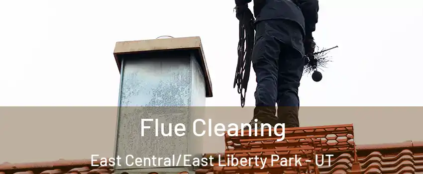 Flue Cleaning East Central/East Liberty Park - UT