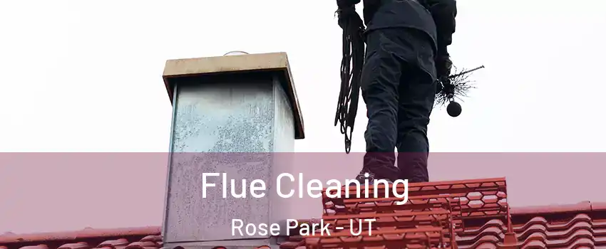 Flue Cleaning Rose Park - UT