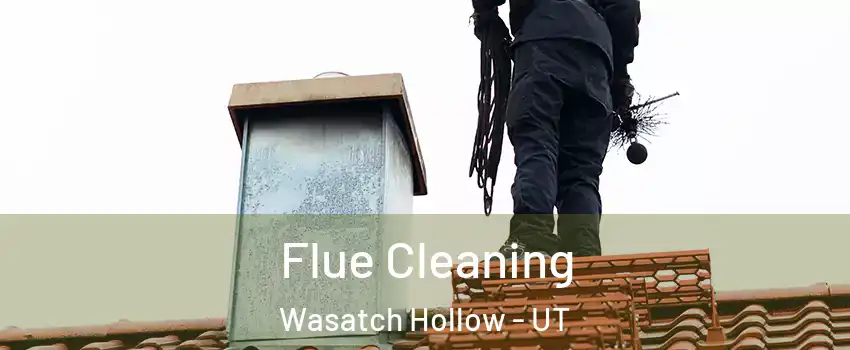 Flue Cleaning Wasatch Hollow - UT