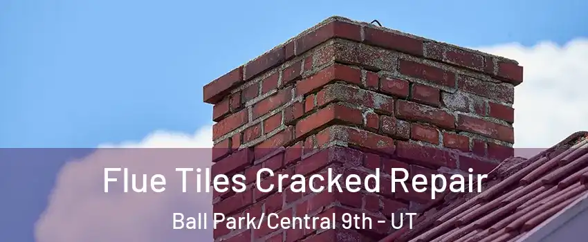 Flue Tiles Cracked Repair Ball Park/Central 9th - UT