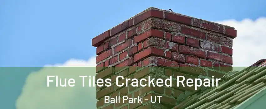 Flue Tiles Cracked Repair Ball Park - UT