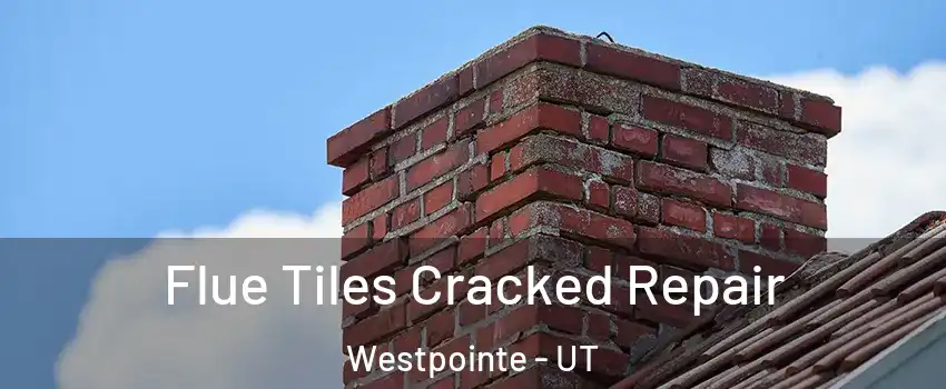 Flue Tiles Cracked Repair Westpointe - UT