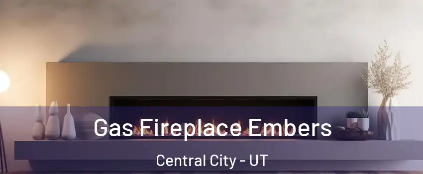 Gas Fireplace Embers Central City - UT