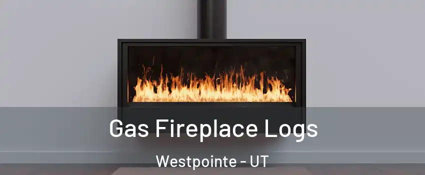 Gas Fireplace Logs Westpointe - UT