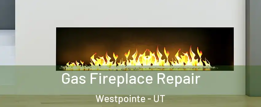 Gas Fireplace Repair Westpointe - UT