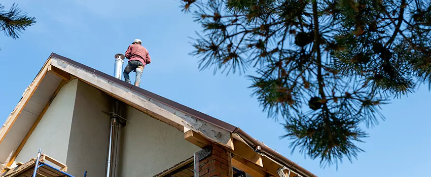 Birds Removal Contractors from Chimney in Wasatch Hollow, UT