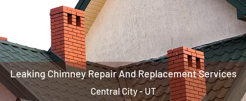Leaking Chimney Repair And Replacement Services Central City - UT