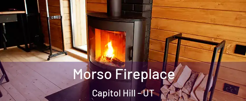 Morso Fireplace Capitol Hill - UT