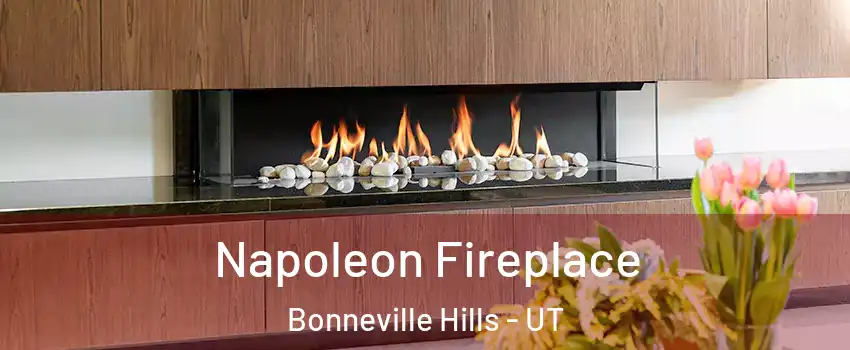 Napoleon Fireplace Bonneville Hills - UT