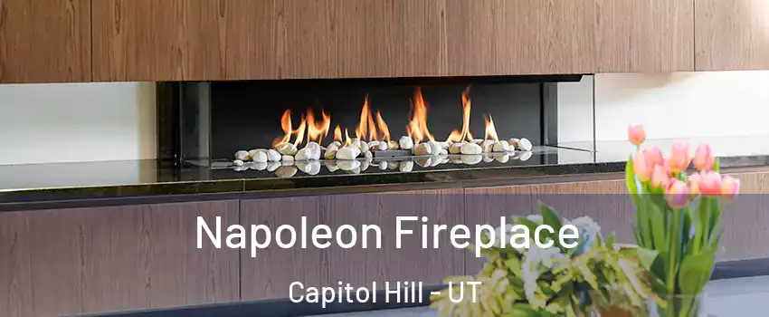 Napoleon Fireplace Capitol Hill - UT