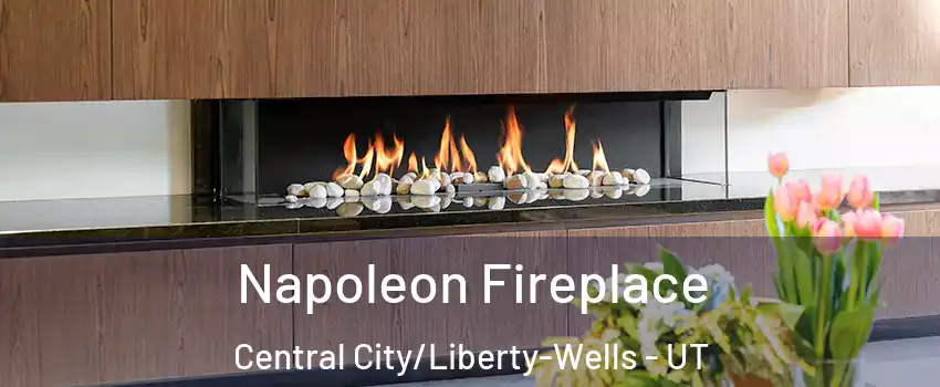 Napoleon Fireplace Central City/Liberty-Wells - UT