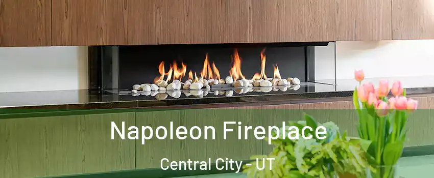 Napoleon Fireplace Central City - UT