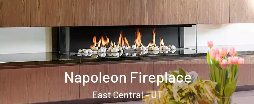 Napoleon Fireplace East Central - UT