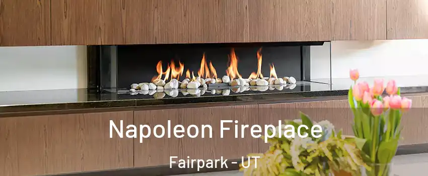 Napoleon Fireplace Fairpark - UT