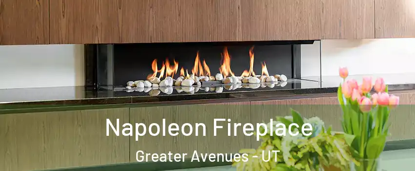 Napoleon Fireplace Greater Avenues - UT