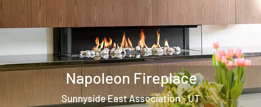 Napoleon Fireplace Sunnyside East Association - UT
