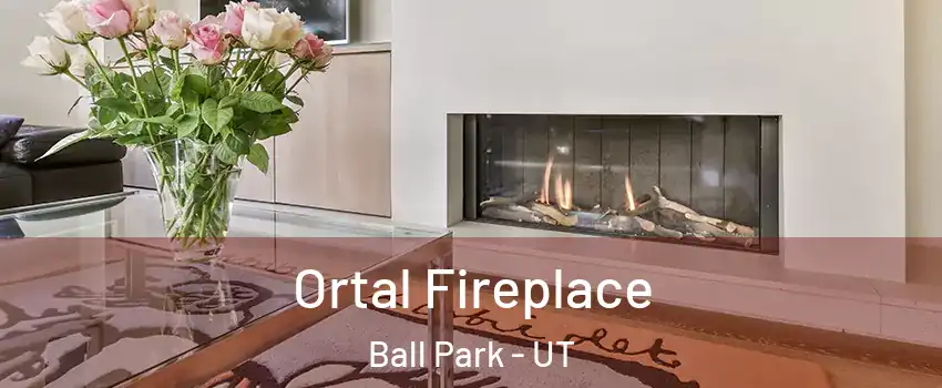 Ortal Fireplace Ball Park - UT