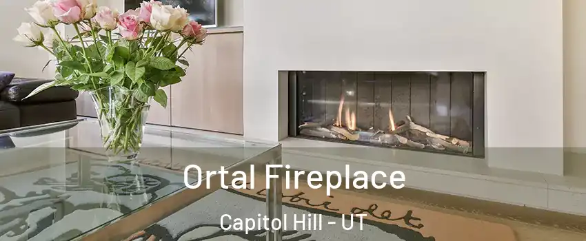 Ortal Fireplace Capitol Hill - UT