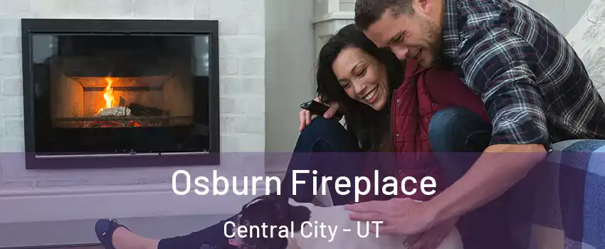 Osburn Fireplace Central City - UT
