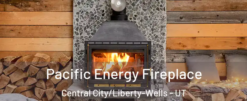Pacific Energy Fireplace Central City/Liberty-Wells - UT