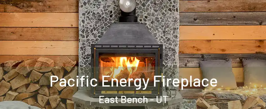 Pacific Energy Fireplace East Bench - UT