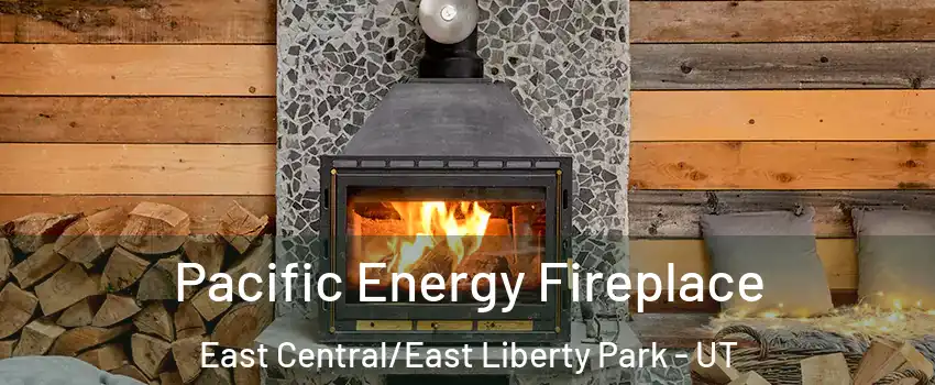 Pacific Energy Fireplace East Central/East Liberty Park - UT