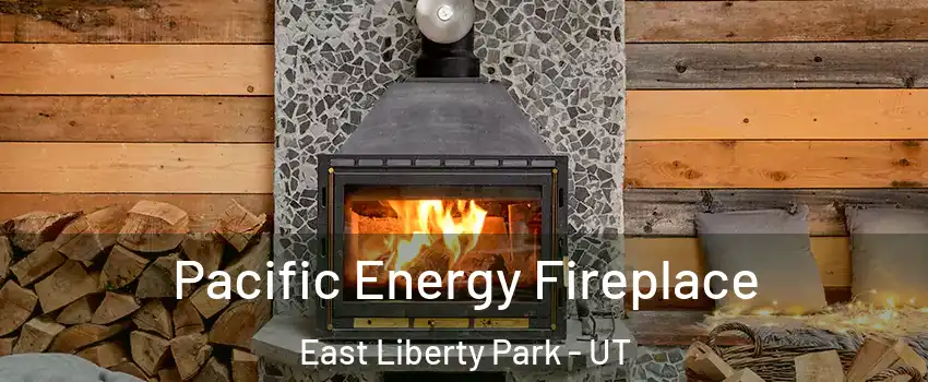 Pacific Energy Fireplace East Liberty Park - UT